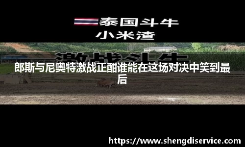 IM电竞官网