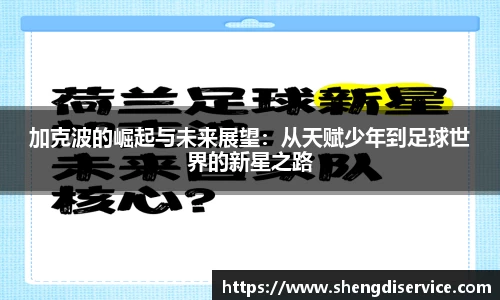 IM电竞官网