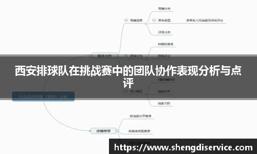 西安排球队在挑战赛中的团队协作表现分析与点评