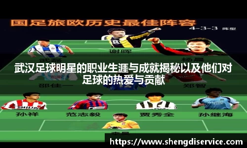 武汉足球明星的职业生涯与成就揭秘以及他们对足球的热爱与贡献